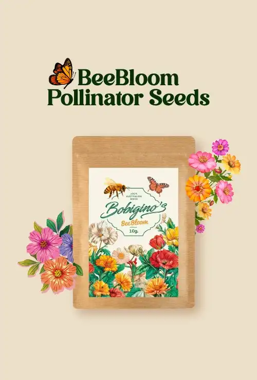 destacados-home-beebloom
